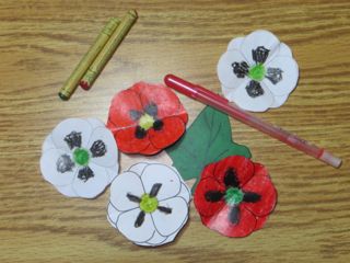 poppies